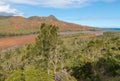 Tropical rainforest above Pirogues River estuary in New Caledonia