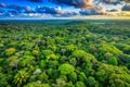 Tropical Rainforest Canopy Aerial Sunset View Royalty Free Stock Photo