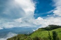 Tropical Rainforest in doiinthanon national park the morning light landscape view Rainforest,Thailand Royalty Free Stock Photo