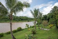 Tropical Rainforest Flora and Navua River