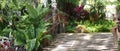 Tropical rainforest garden with bamboo bridge path and various types of tropical foliage plants bush such as Bird`s nest fern and