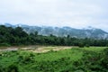 Tropical rainforest at Huai Kha Khaeng Wildlife Sanctuary, Thailand, Forest landscape