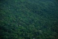 Tropical rainforest,Khao Yai National Park Thailand (The World H