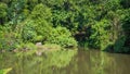 Tropical rainforest landscape with beautiful lake