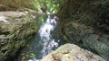 Tropical rainforest landscape with beautiful