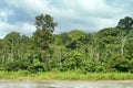 Tropical Rainforest Landscape, Napo River Basin, Amazonia, Ecuador Royalty Free Stock Photo