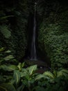 Tropical rainforest lush green jungle hidden waterfall Air Terjun Leke Leke in Baturiti Tabanan Bali Indonesia Asia Royalty Free Stock Photo