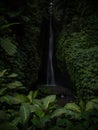 Tropical rainforest lush green jungle hidden waterfall Air Terjun Leke Leke in Baturiti Tabanan Bali Indonesia Asia Royalty Free Stock Photo