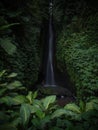 Tropical rainforest lush green jungle hidden waterfall Air Terjun Leke Leke in Baturiti Tabanan Bali Indonesia Asia Royalty Free Stock Photo