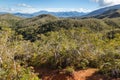 Tropical rainforest on mountain ranges in Grande Terre, New Caledonia