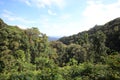 Tropical rainforest of Nyungwe National Park Royalty Free Stock Photo
