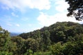 Tropical rainforest of Nyungwe National Park Royalty Free Stock Photo