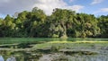 Tropical rainforest reservoir Royalty Free Stock Photo