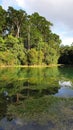 Tropical rainforest reservoir Royalty Free Stock Photo