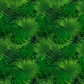 Tropical rainforest seamless pattern. exotic plants vector illustration. jungle background. Green herbage texture