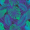 Tropical rainforest seamless pattern