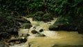 Tropical rainforest stream Royalty Free Stock Photo