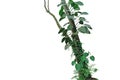 Tropical rainforest tree trunk with climbing vine plants philodendron, syngonium, forest orchid, fern and moss. Tropic leaves