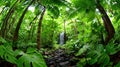 Lush Tropical Rainforest with Waterfall and Dense Green Foliage Royalty Free Stock Photo