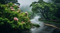 Tropical Rainy Road: A National Geographic Style Photography