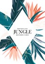 Tropical realistic leaf and bird paradise vector background. Green foliage design flyer with forest palm template, exotic banner Royalty Free Stock Photo