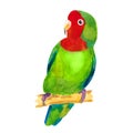 The tropical Red-cheeked lovebird parrot. watercolor illustration