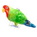 The tropical Red-cheeked lovebird parrot. watercolor illustration