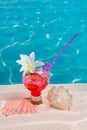 Tropical red cocktail on caribbean sand flower and seashell