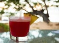 Tropical, red cocktail Royalty Free Stock Photo