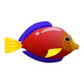 Tropical red fish, coral reef exotic pet animal. Aquarium sea life, vector illustartion cartoon style Royalty Free Stock Photo