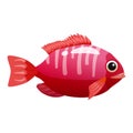 Tropical red fish, coral reef exotic pet animal. Aquarium sea life, vector illustartion cartoon style Royalty Free Stock Photo