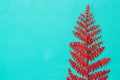 Tropical red leaf palm tree on a blue background with space for text. Top view banner for travel agency. Flat lay Royalty Free Stock Photo