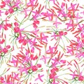 Tropical red pink flowers seamless pattern colorful isolated ha Royalty Free Stock Photo