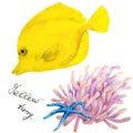 Tropical reef fish Yellow tang zebrasoma with anemone and starfish, hand drawn watercolor