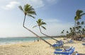 Tropical resort Royalty Free Stock Photo