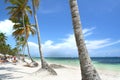 Tropical resort beach fringed with palm trees Royalty Free Stock Photo