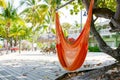 Tropical resort with chaise longs and hammocks Royalty Free Stock Photo