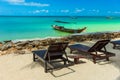 Tropical resort with chaise longs under palms on sandy beach Royalty Free Stock Photo