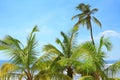 Tropical resort Royalty Free Stock Photo