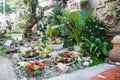 Nice garden, green decoration plants at a resort in Phuket, Thailand. Royalty Free Stock Photo