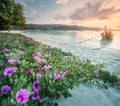 Tropical resort, palm and coast of Thailand beach Royalty Free Stock Photo