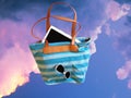 Tropical resort ,Sky ,Beach Accessories illustration Tablet, handbag ,Smartphone, Sunglass resort Royalty Free Stock Photo
