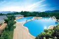 Tropical resort swimming pool Royalty Free Stock Photo