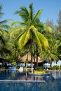 Tropical Resort  swimming pool Palm Trees Royalty Free Stock Photo