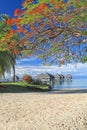 Tropical resort Tahiti Royalty Free Stock Photo