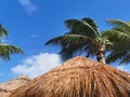 Tropical resort under the sunlight of Riviera Maya Royalty Free Stock Photo