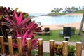 Tropical resort view