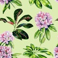 Tropical rhododendron flower seamless pattern watercolor.