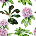 Tropical rhododendron flower seamless pattern watercolor.