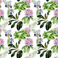 Tropical rhododendron flowers and iris seamless pattern watercolor. Royalty Free Stock Photo